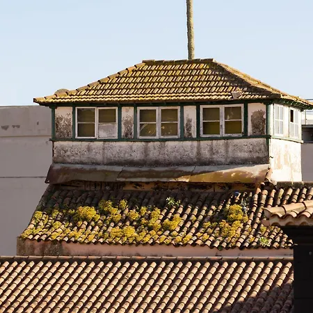 Live Laguna Center Home&terrace